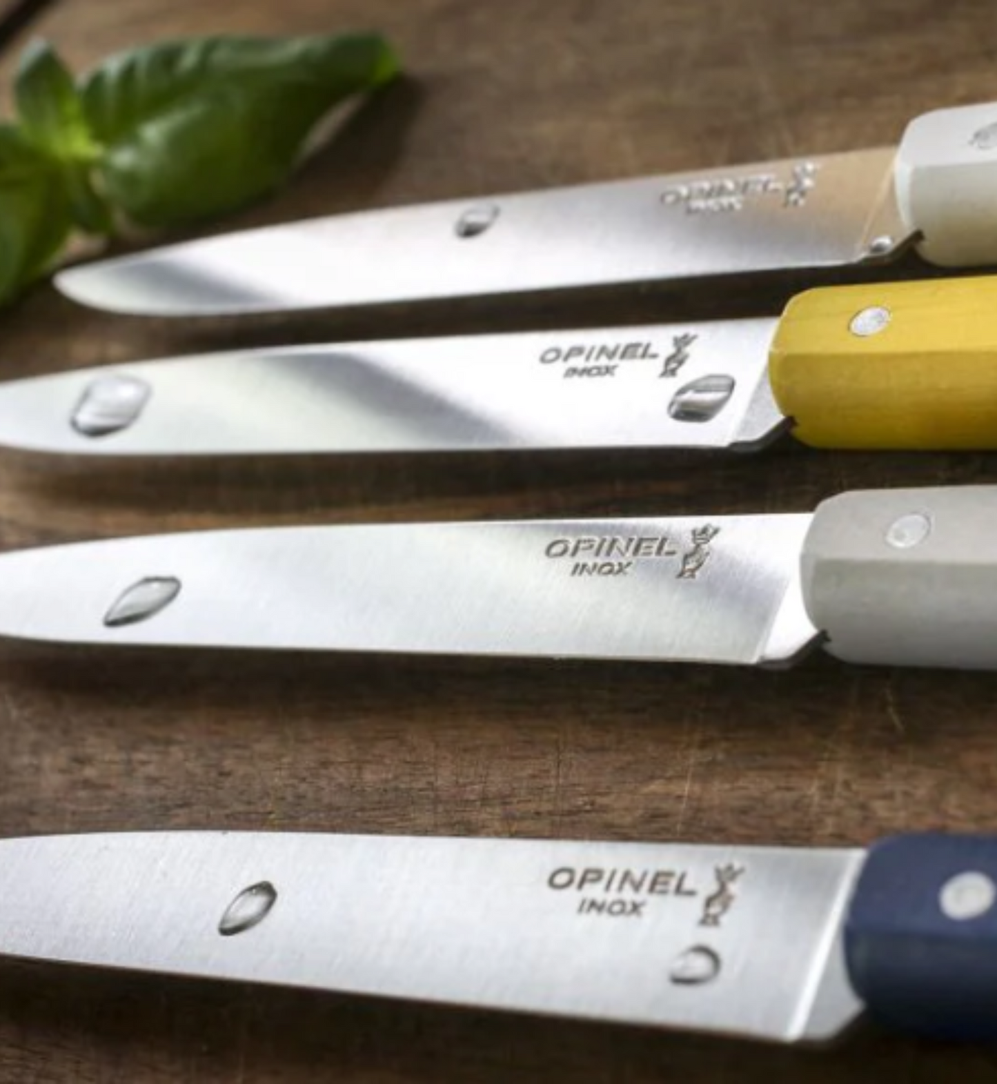 Box of 4 table knives - Opinel